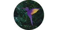 i Live Immobilienverwaltung GmbH